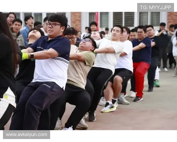 世界杯拔河比赛：力量与团队协作的巅峰对决